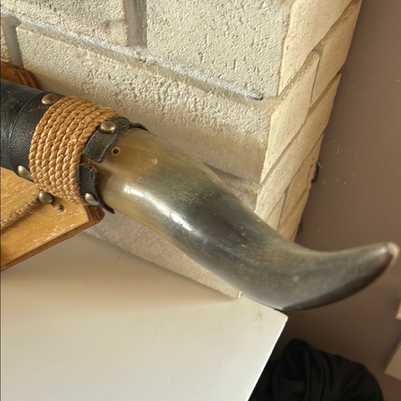 Decorative Wall-Mounted Bull Horns - Picture 2 of 9
